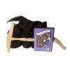 Woolery Deluxe Introductory Spinning Kit